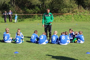 星空入口官网-中国篮球教练员团队协作能力培养与管理实践，篮球教练员在团队中扮演了哪些角色